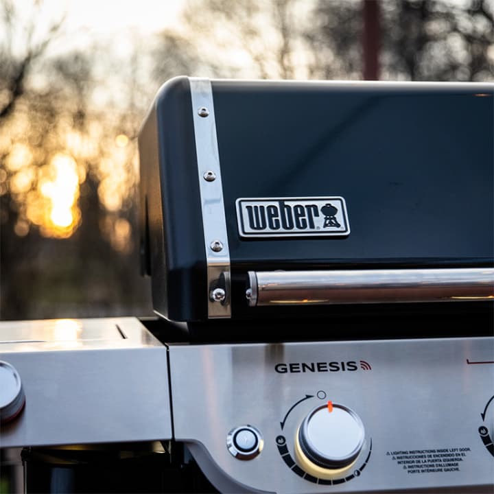 Curso de Cocina a la BBQ/Barbacoa Certificado por Weber - Madrid - Imagen 3