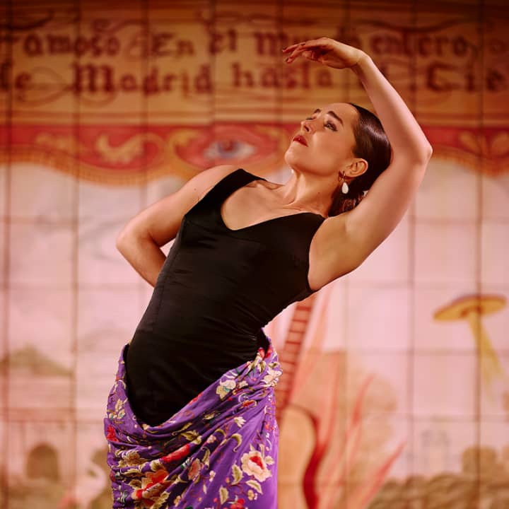 Experiencia Flamenca en la Puerta de Alcalá - Imagen 7