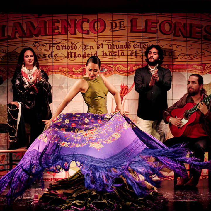 Experiencia Flamenca en la Puerta de Alcalá - Imagen 2