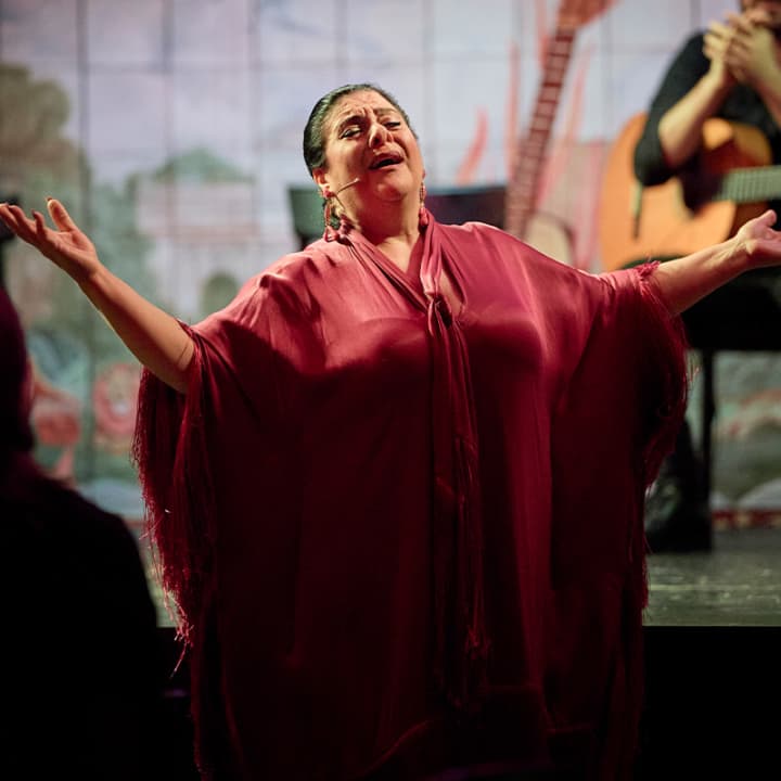 Experiencia Flamenca en la Puerta de Alcalá - Imagen 10