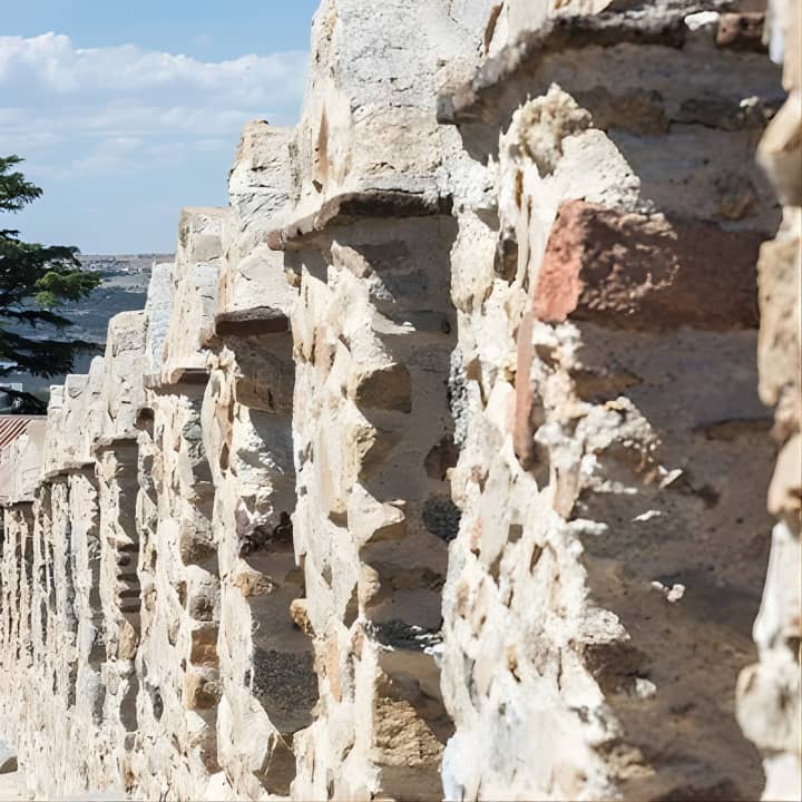 Ávila con Murallas & Segovia con Alcázar de Madrid - Imagen 7