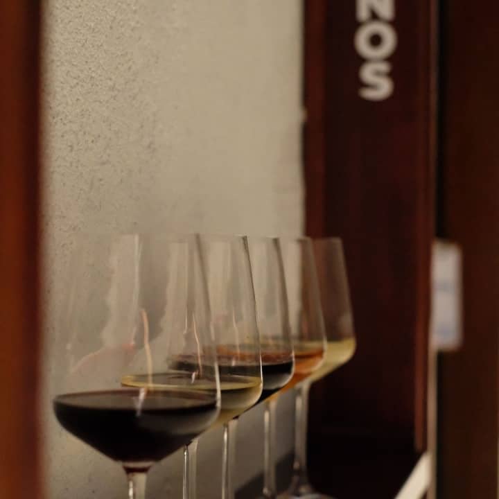Cata de Vinos en Rustico - Imagen 3