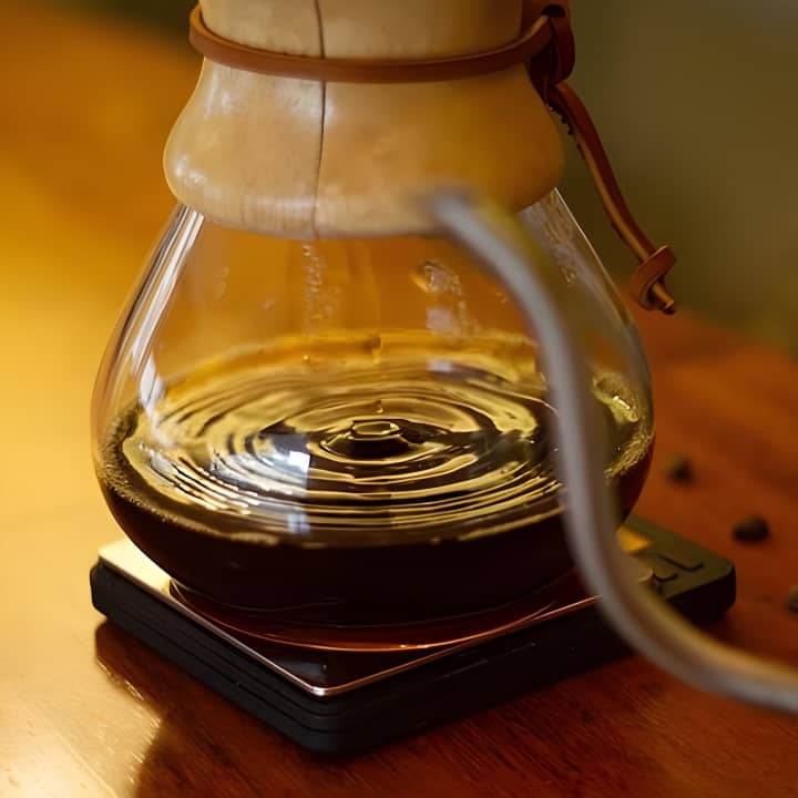 Degustación de cafés especiales en Terrua Café - Imagen 9