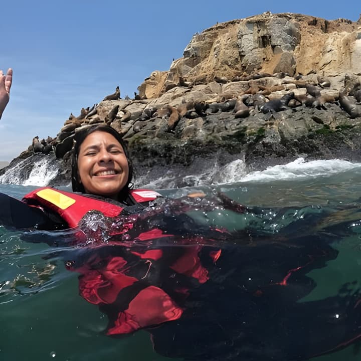 Nadar con Leones Marinos en Isla Palomino en Lima con Entradas - Imagen 6