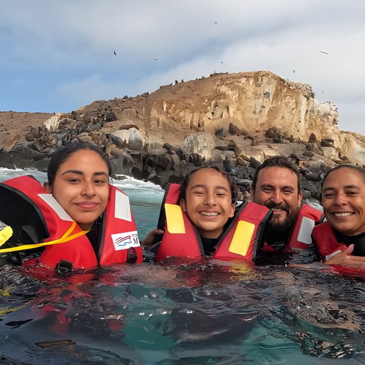 Nadar con Leones Marinos en Isla Palomino en Lima con Entradas - Imagen 2