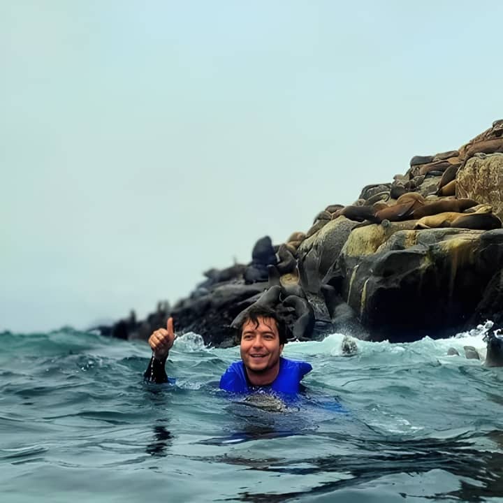 Nadar con Leones Marinos en Isla Palomino en Lima con Entradas - Imagen 8