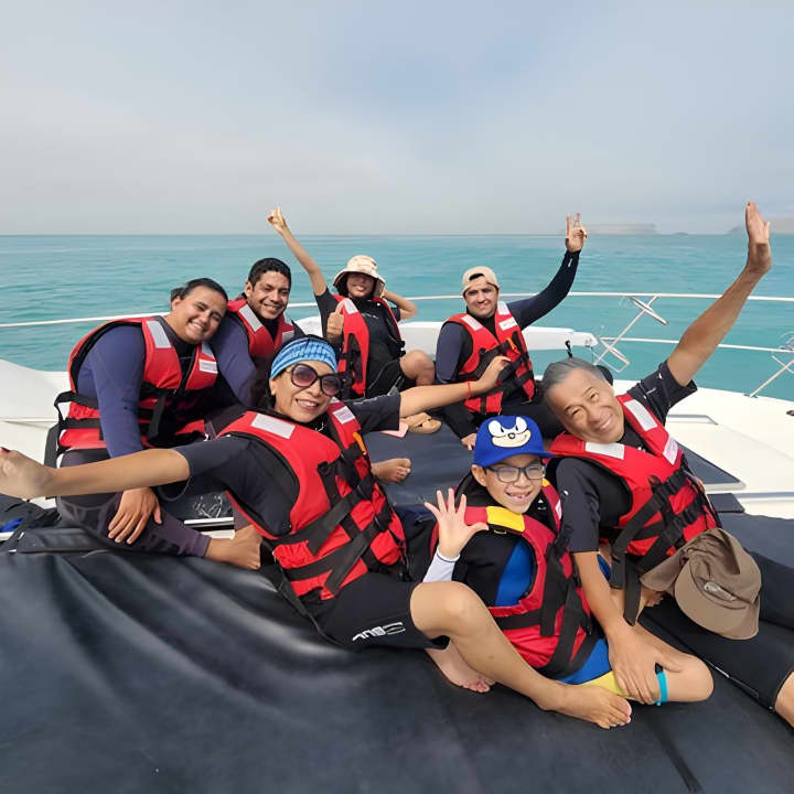 Nadar con Leones Marinos en Isla Palomino en Lima con Entradas - Imagen 4