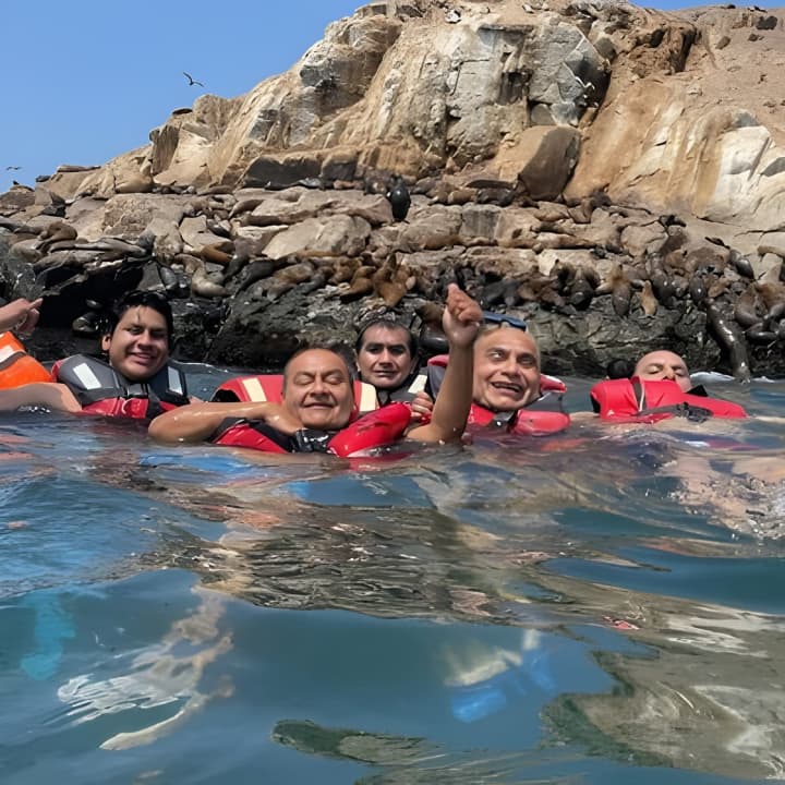Nadar con Leones Marinos en Isla Palomino en Lima con Entradas - Imagen 3