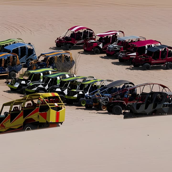Full Day Lima Paracas & Tour de Adrenalina en Huacachina - Imagen 6