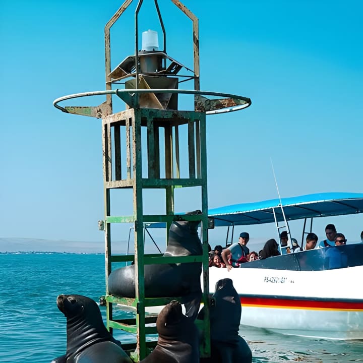 Full Day Lima Paracas & Tour de Adrenalina en Huacachina - Imagen 4
