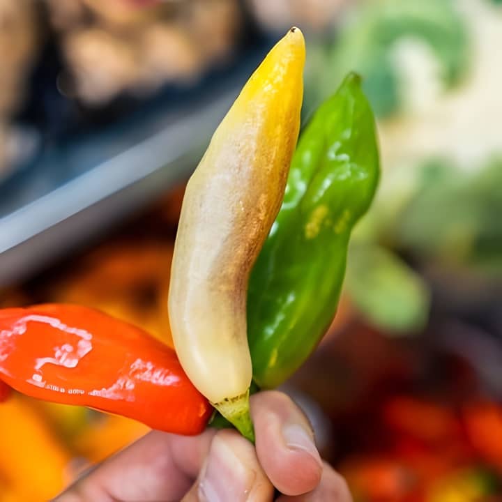 Clase de cocina de 4 horas Ceviche y Causa en Lima - Imagen 5
