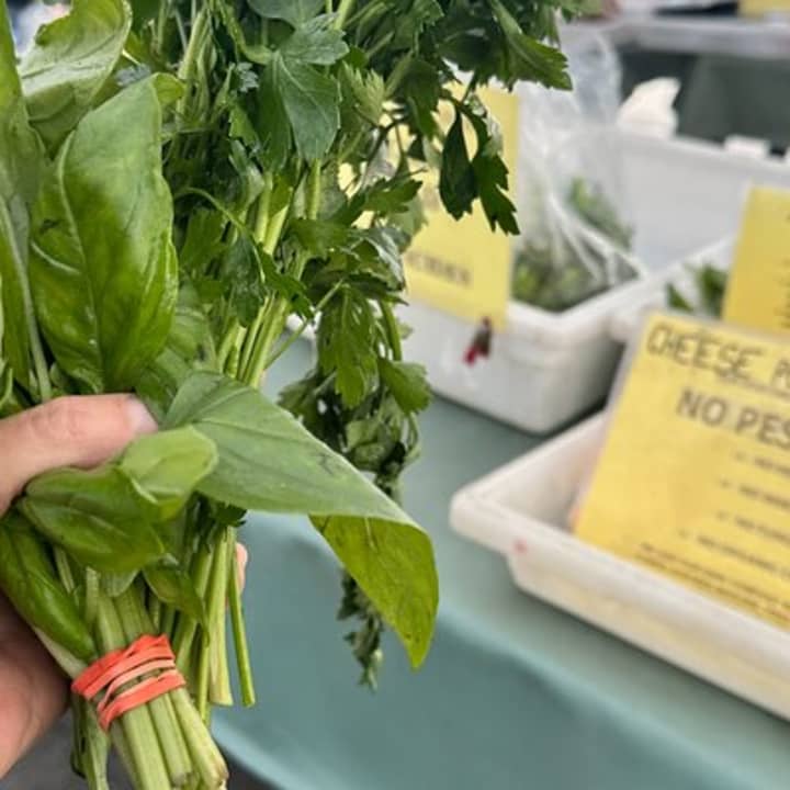 Clase de cocina libanesa basada en plantas en Greenwich Village - Imagen 15