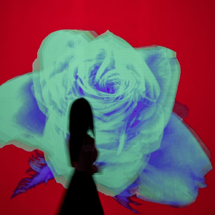 ARTE MUSEUM: Una Exposición de Arte Multimedia Inmersiva - New York - Imagen 8