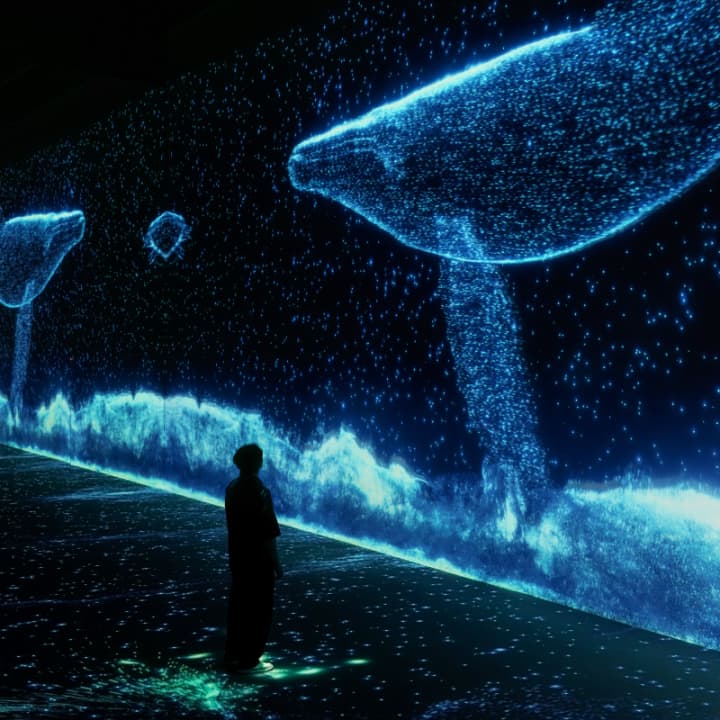 ARTE MUSEUM: Una Exposición de Arte Multimedia Inmersiva - New York - Imagen 6
