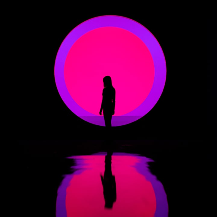 ARTE MUSEUM: Una Exposición de Arte Multimedia Inmersiva - New York - Imagen 11