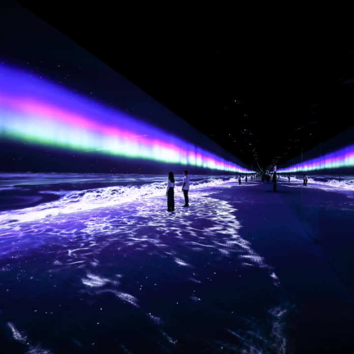 ARTE MUSEUM: Una Exposición de Arte Multimedia Inmersiva - New York - Imagen 2