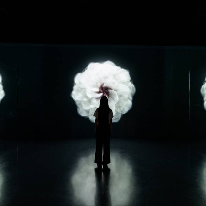 ARTE MUSEUM: Una Exposición de Arte Multimedia Inmersiva - New York - Imagen 9