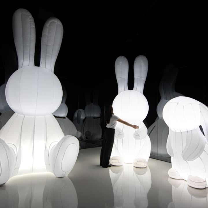 ARTE MUSEUM: Una Exposición de Arte Multimedia Inmersiva - New York - Imagen 14