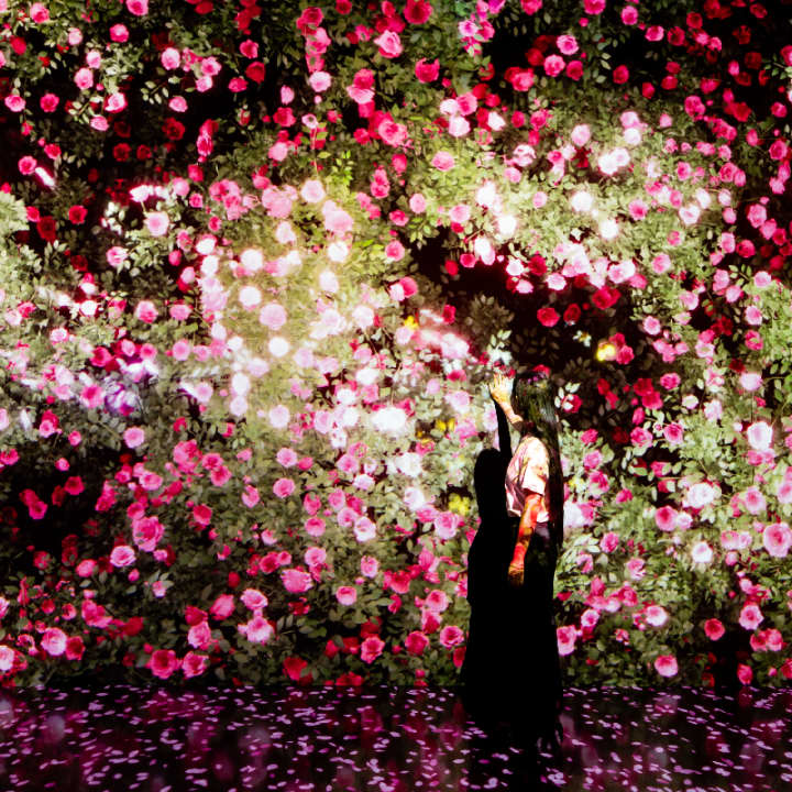 ARTE MUSEUM: Una Exposición de Arte Multimedia Inmersiva - New York - Imagen 5