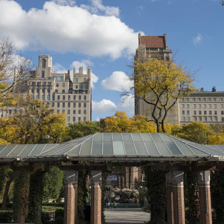 Zoo de Central Park: Experiencia total - Imagen 6