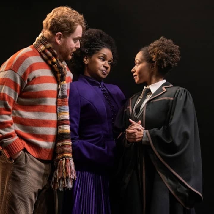 Harry Potter y el niño maldito en Broadway - Imagen 7
