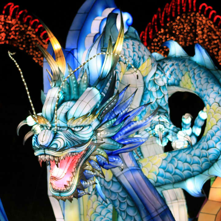 Autumn Glow Festival - New Rochelle - Imagen 6