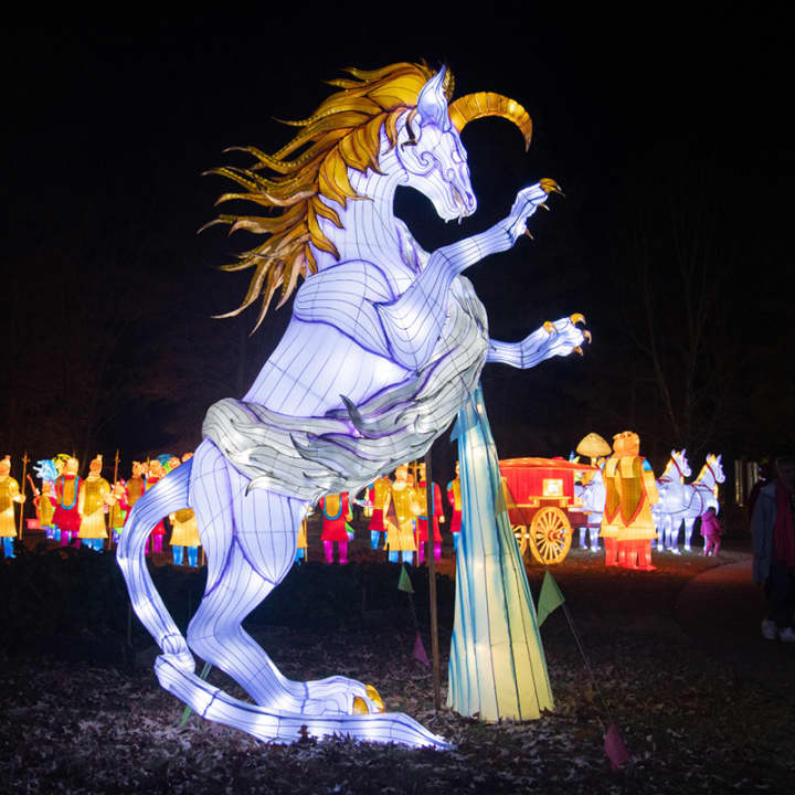 Autumn Glow Festival - New Rochelle - Imagen 7