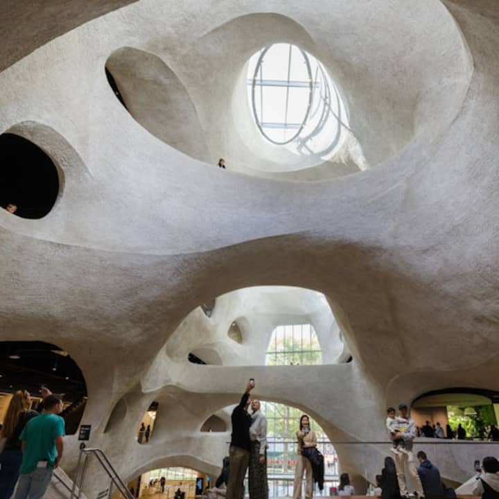 Museo Americano de Historia Natural (AMNH): Todas las exposiciones con entradas - Imagen 13