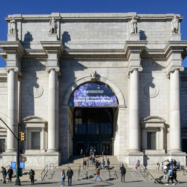 Museo Americano de Historia Natural (AMNH): Todas las exposiciones con entradas - Imagen 7
