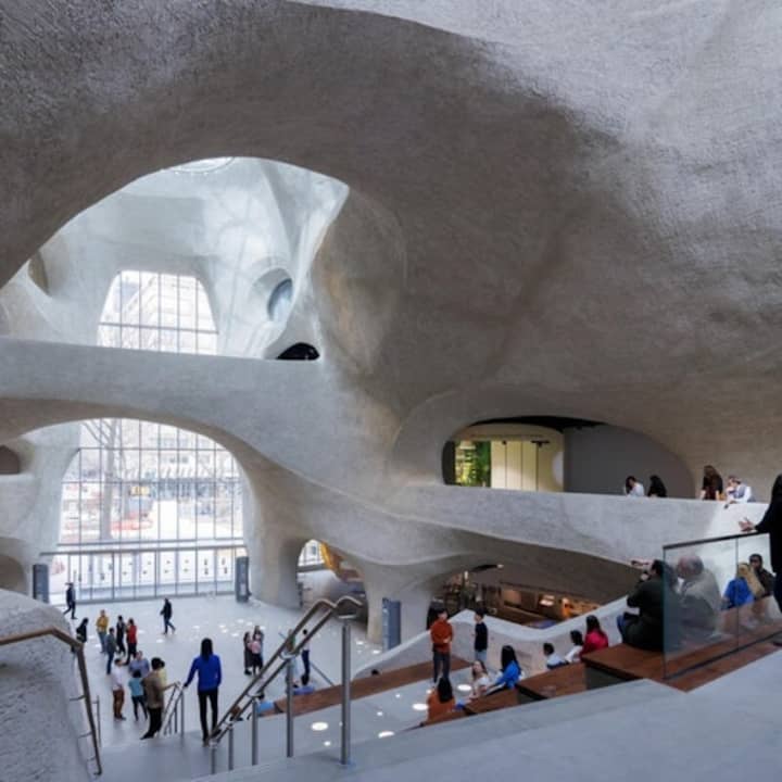Museo Americano de Historia Natural (AMNH): Todas las exposiciones con entradas - Imagen 10