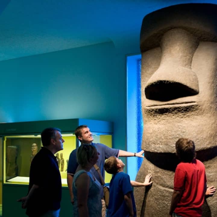 Museo Americano de Historia Natural (AMNH): Todas las exposiciones con entradas - Imagen 8