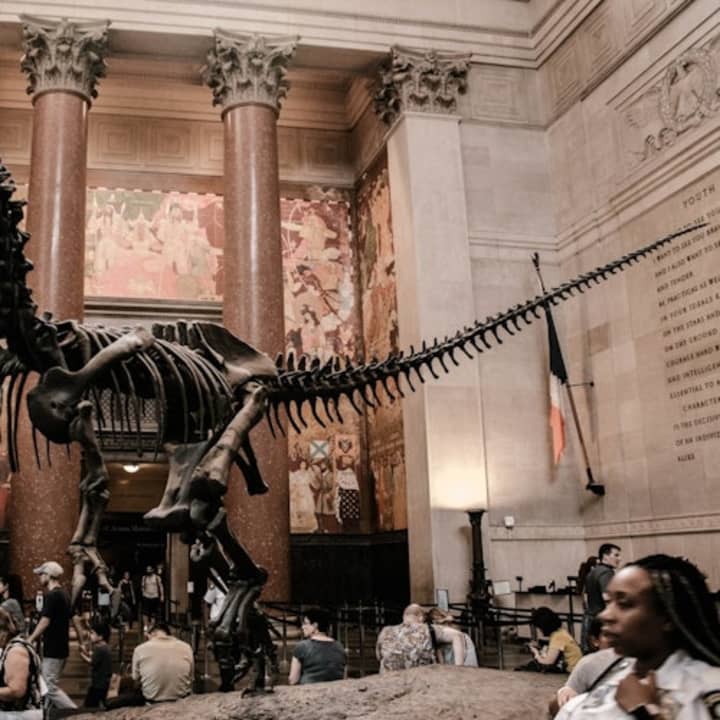 Museo Americano de Historia Natural (AMNH): Todas las exposiciones con entradas - Imagen 6