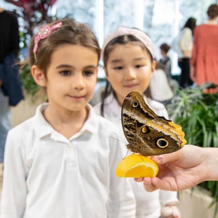 Museo Americano de Historia Natural (AMNH): Todas las exposiciones con entradas - Imagen 9