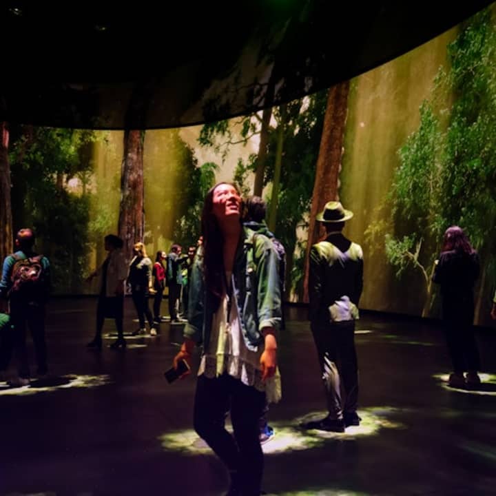 Museo Americano de Historia Natural (AMNH): Todas las exposiciones con entradas - Imagen 11