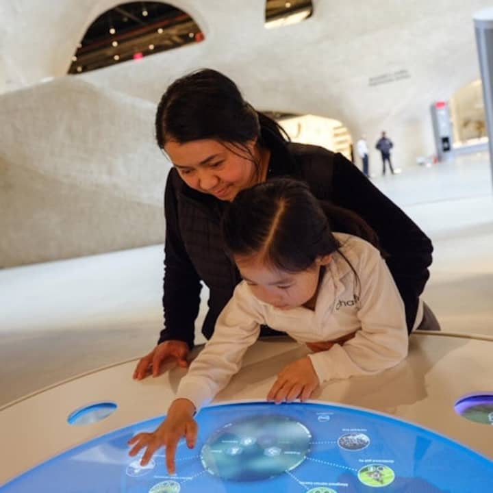 Museo Americano de Historia Natural (AMNH): Todas las exposiciones con entradas - Imagen 4