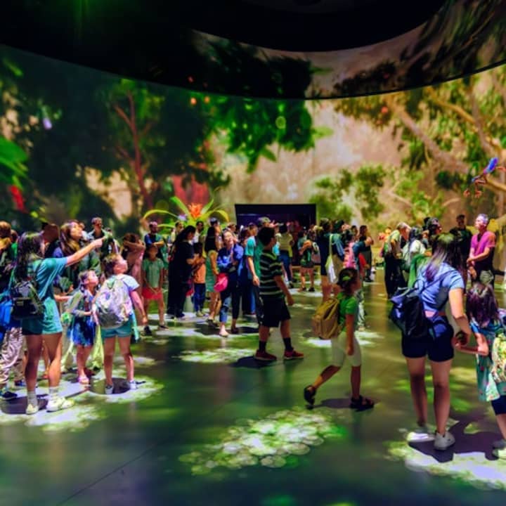 Museo Americano de Historia Natural (AMNH): Todas las exposiciones con entradas - Imagen 12